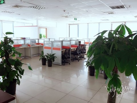 中介服务行业人事专员/助理核心职责与素养解析